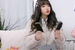 网红黑料社,揭开网络舆论背后的真相